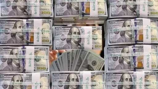 تطور احتياطي النقد الأجنبي لمصر خلال 11 شهرًا... تطور احتياطي النقد الأجنبي لمصر خلال 11 شهرًا من عام 2025