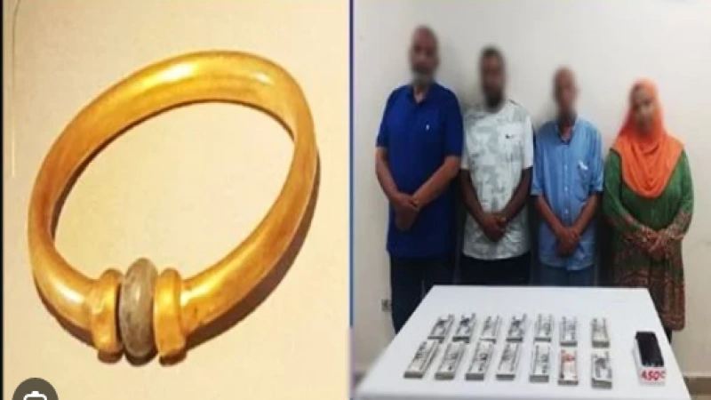 المتهمين بسرقة أسورة المتحف المصرى