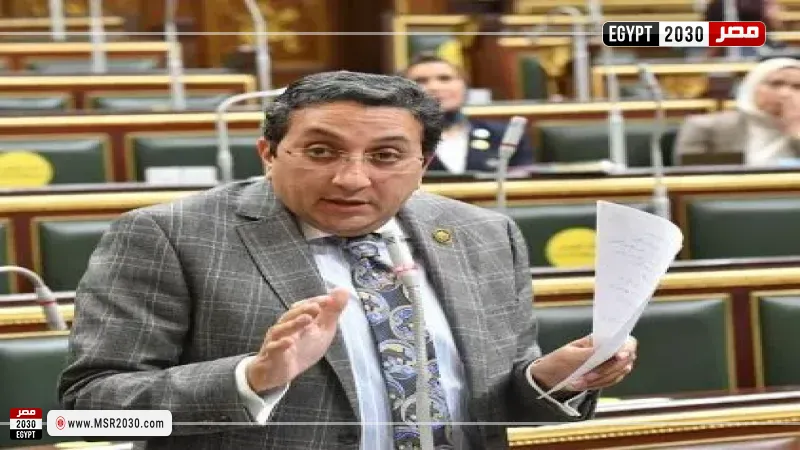 إيهاب رمزي، عضو مجلس النواب