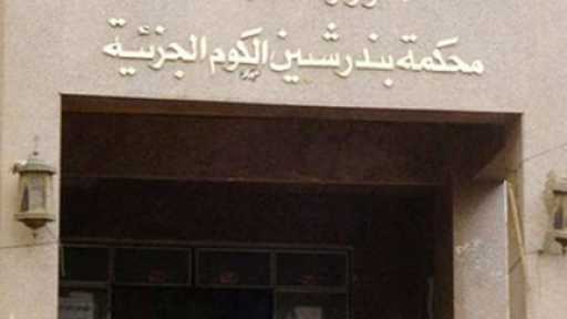 جنايات شبين الكوم تحيل أوراق قاتل زوجين مسنين للمفتي الجمهورية