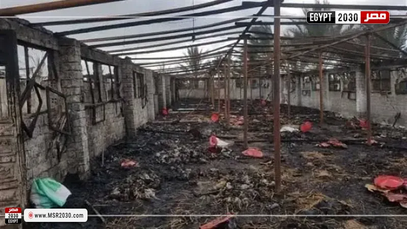 حريق مزرعة دواجن