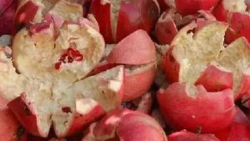 مش هترميه تاني.. تعرف على فوائد قشر الرمان مش هترميه تاني.. تعرف على فوائد قشر الرمان