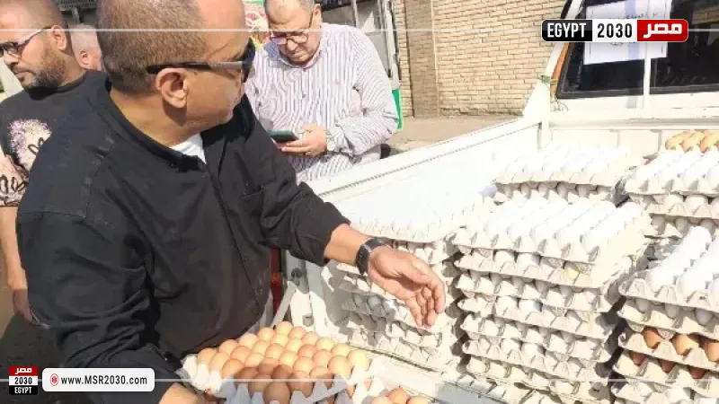 الزراعة تطرح البيض بمنافذها بأسعار مخفضة