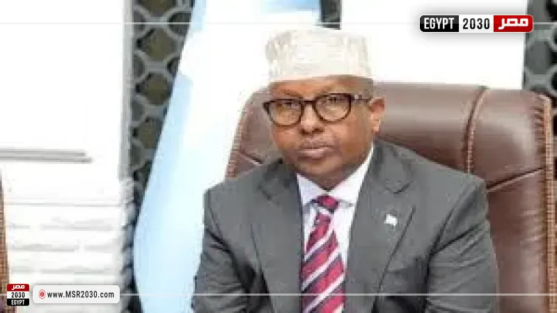 وزير الدفاع الصومالي 