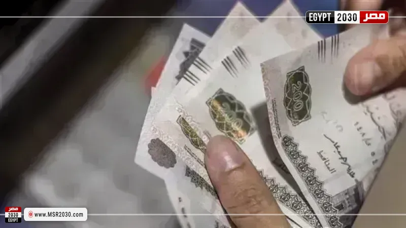 مرتبات فبراير 