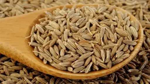 لن تصدق فوائد تناول الكمون لن تصدق فوائد تناول الكمون