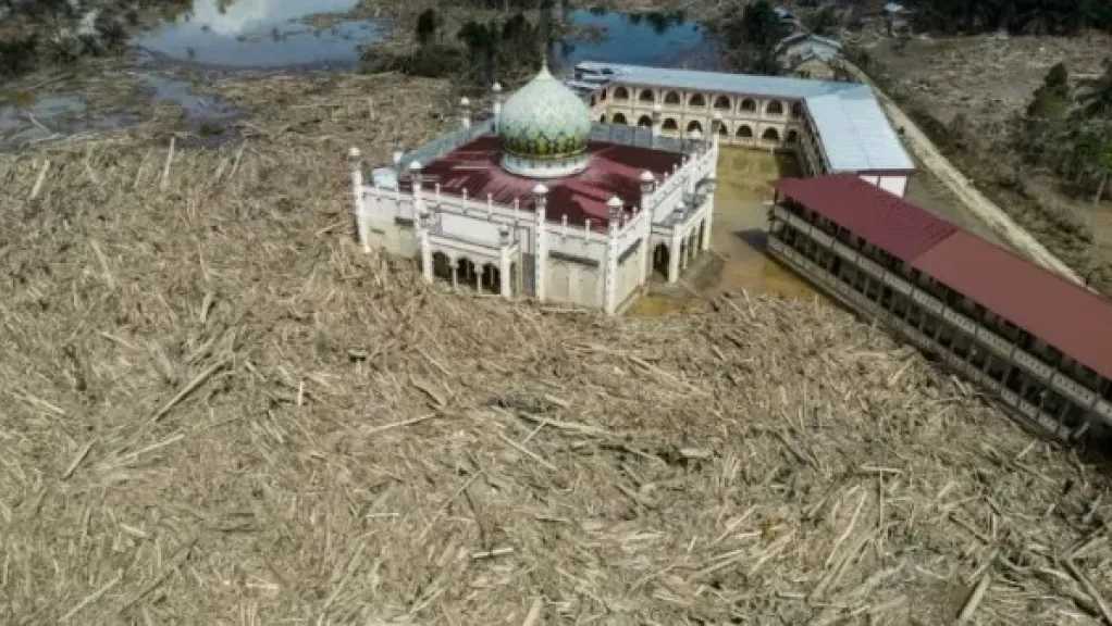 كارثة سومطرة الإندونيسية .. آلاف الأشجار تبتلع مسجدا وتمنع دخول المصلين