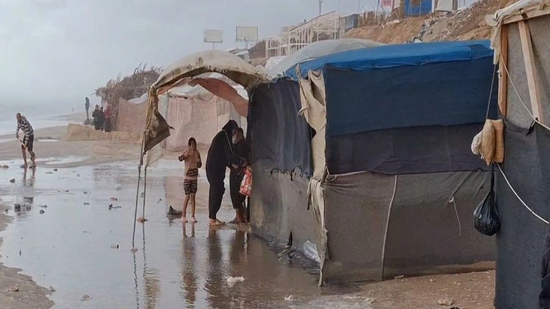 صورة أرشيفية