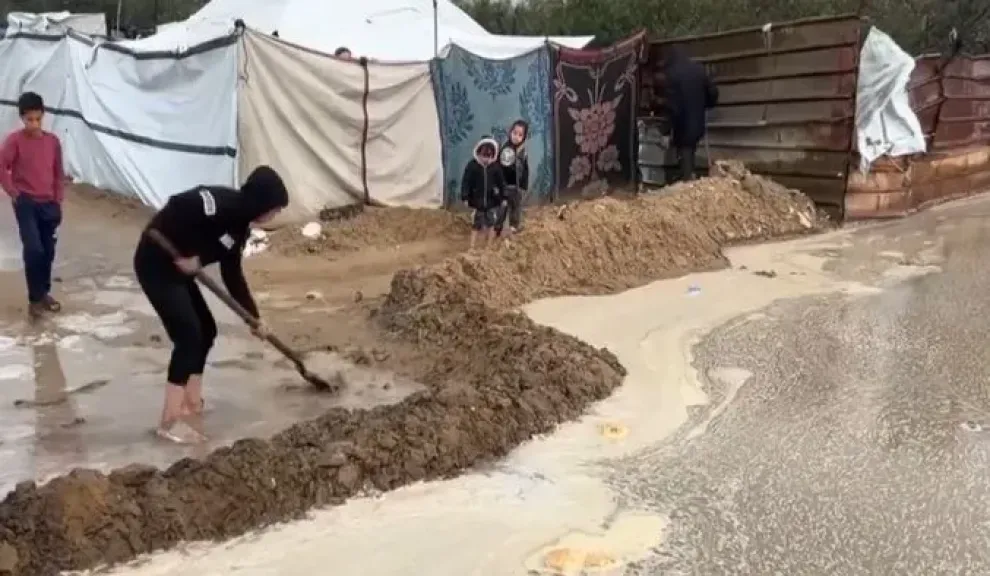 سكان غزة 