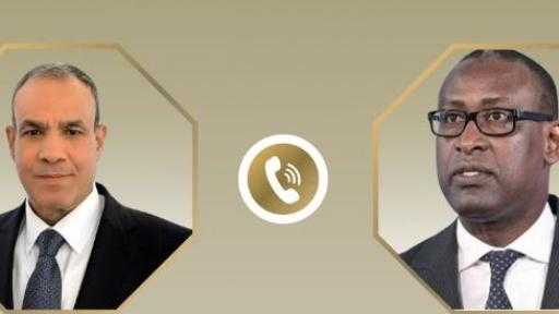 وزير الخارجية يبحث مع نظيره المالي تعزيز العلاقات الثنائية بين البلدين