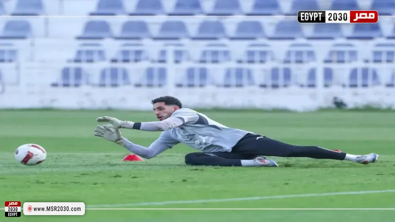 مصطفى شوبير 