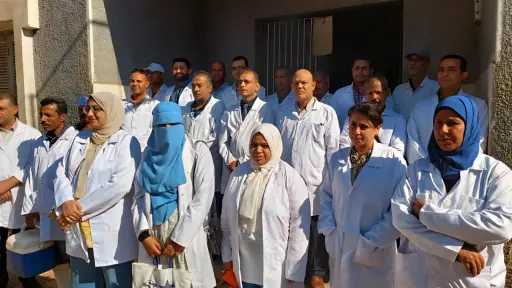 إنجاز غير مسبوق.. تحصين 193 ألف رأس ماشية... إنجاز غير مسبوق.. تحصين 193 ألف رأس ماشية بسوهاج