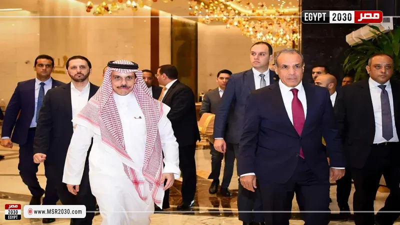 وزير الخارجية ونظيره السعودي