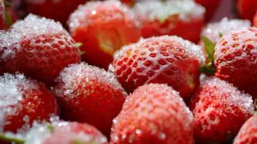 يقوي المناعة.. فوائد تناول الفراولة يقوي المناعة.. فوائد تناول الفراولة