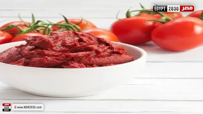صلصة الطماطم المعلبة
