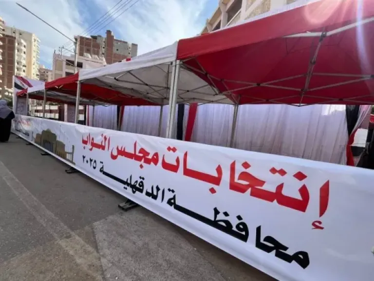 لجان انتخابات مجلس النواب بالدقهلية