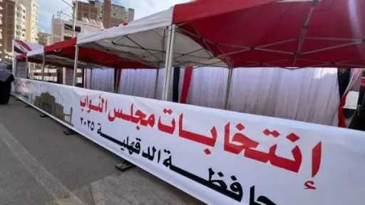 توافد على لجان الانتخابات بالدقهلية بجولة الإعادة خاصة من السيدات