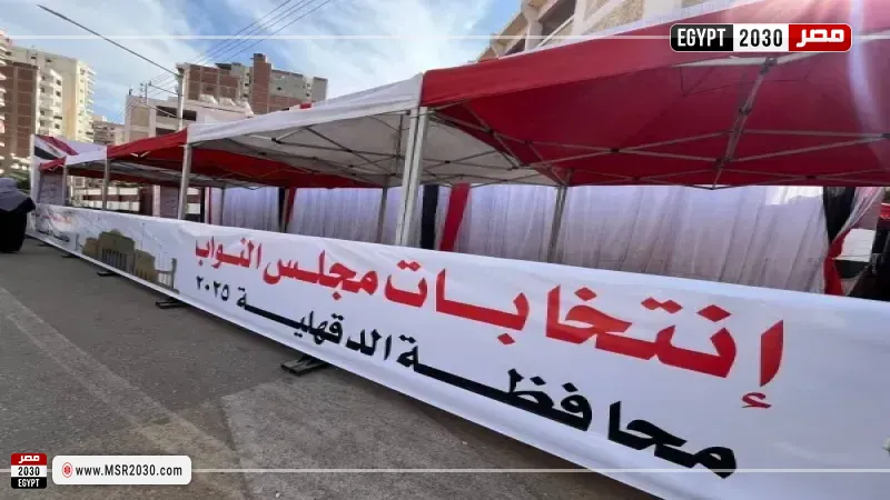 لجان انتخابات مجلس النواب بالدقهلية