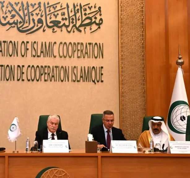 رئيس قطاع فلسطين بالجامعة العربية: توثيق الجرائم الإسرائيلية واجب قانوني وأخلاقي