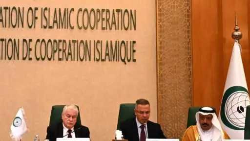 رئيس قطاع فلسطين بالجامعة العربية: توثيق الجرائم الإسرائيلية واجب قانوني وأخلاقي