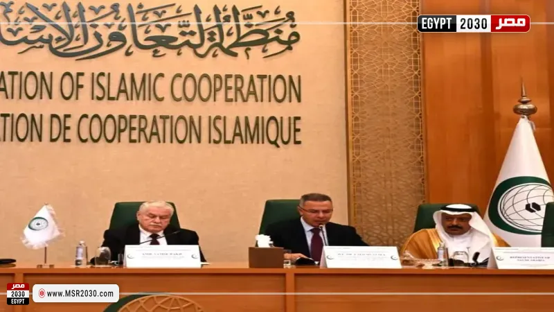 رئيس قطاع فلسطين بالجامعة العربية