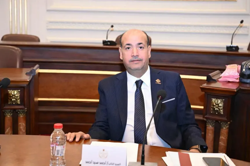 النائب أحمد سيد