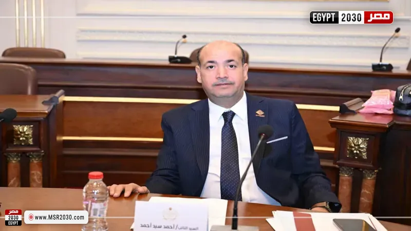 النائب أحمد سيد