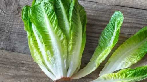 يحسن الرؤية والنوم.. فوائد الخس يحسن الرؤية والنوم.. فوائد الخس