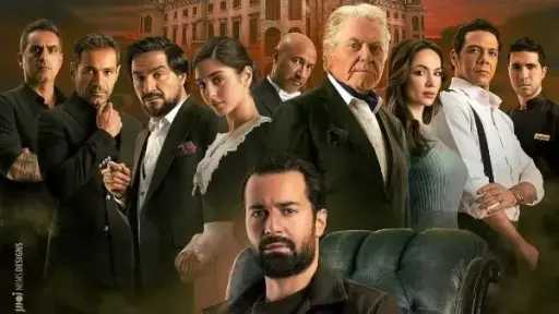 قصر الباشا يتذيل قائمة الإيرادات بالسينما أمس قصر الباشا يتذيل قائمة الإيرادات بالسينما أمس