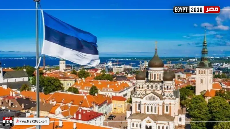 إستونيا تستدعي القائم بالأعمال الروسي لدى البلاد