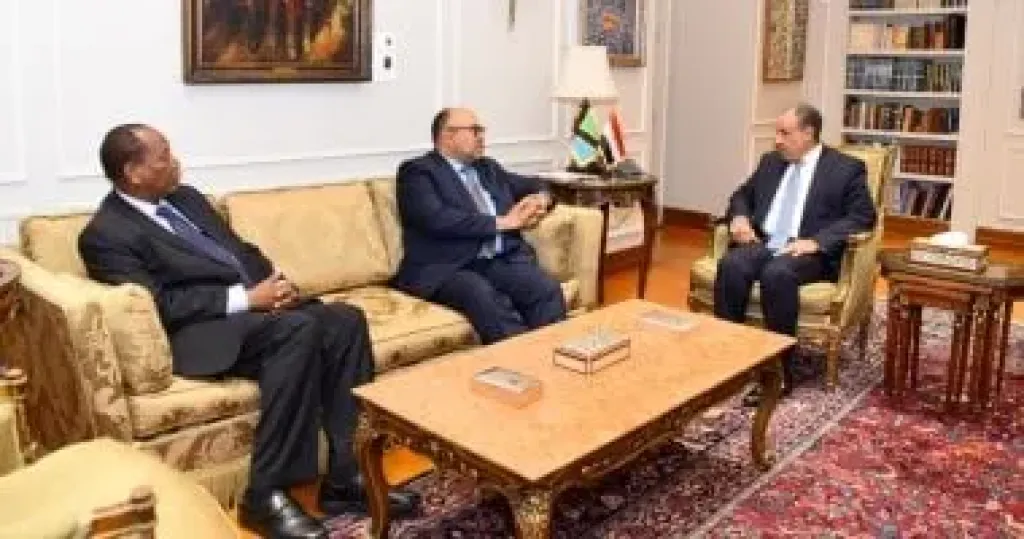 وزير الخارجية ونظيره التنزانى