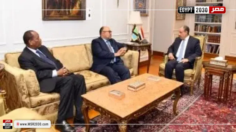 وزير الخارجية ونظيره التنزانى