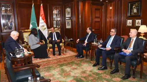 وزير الخارجية يؤكد دعم مصر لأجندة أفريقيا 2063 وتعزيز التمويل والاستثمار المستدام