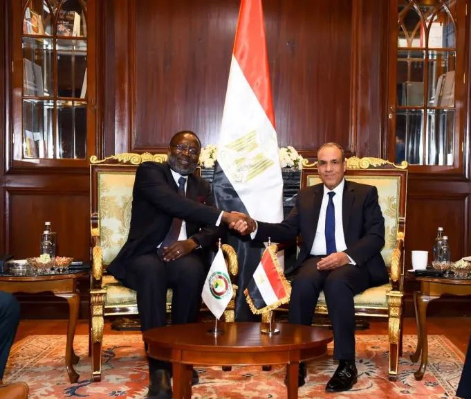 وزير الخارجية يبحث مع رئيس مفوضية الإيكواس تعزيز التعاون الأمني والاقتصادي