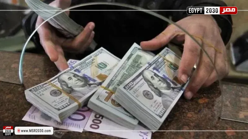 تحويلات المصريين في الخارج