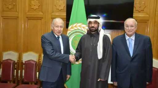 أبو الغيط: حماية حقوق الإنسان ركيزة أساسية للاستقرار والتنمية