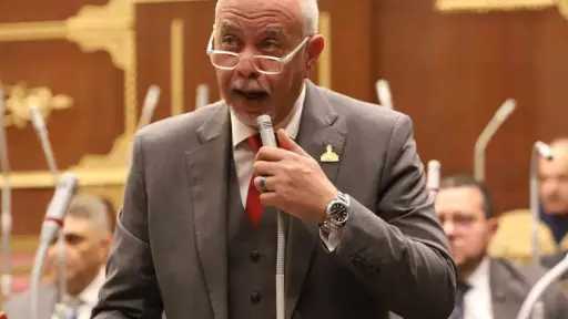 النائب حازم الجندي يؤكد أهمية تعديلات قانون الكهرباء لحماية المال العام.. ويطالب بعزل الموظف المتواطئ