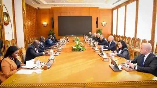 وزير الخارجية يؤكد دعم مصر كل جهود تحقيق أمن واستقرار جنوب السودان