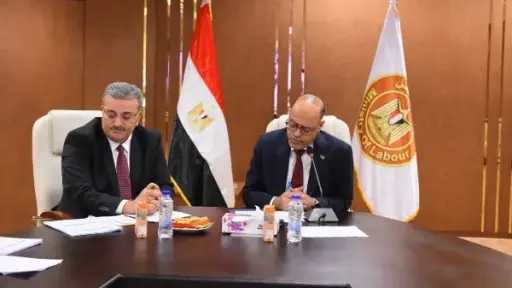 مصر تبحث مع تركيا تعزيز التعاون في مجالات التشغيل والتفتيش وسوق العمل