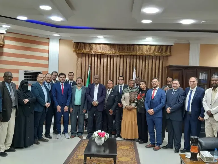 مصر ترسل قافلة طبية نوعية ومستلزمات علاجية وأدوية إلى السودان