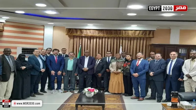 مصر ترسل قافلة طبية نوعية ومستلزمات علاجية وأدوية إلى السودان