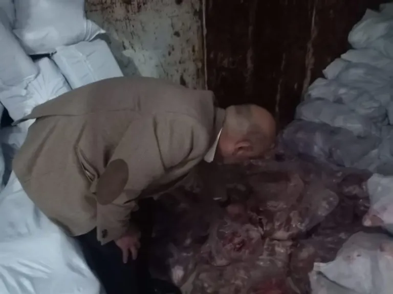 ضبط دواجن غير صالحة للاستهلاك الآدمي 
