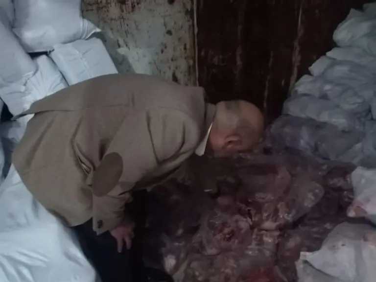 ضبط 16 طن دواجن غير صالحة للاستهلاك الآدمي في حملة تموينية بالقليوبية