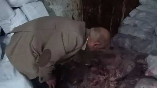 ضبط 16 طن دواجن غير صالحة للاستهلاك الآدمي في حملة تموينية بالقليوبية