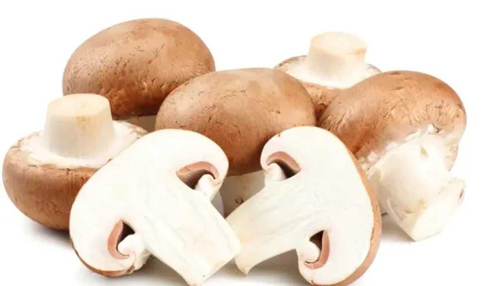 تعرف على فوائد المشروم.. تفاصيل
