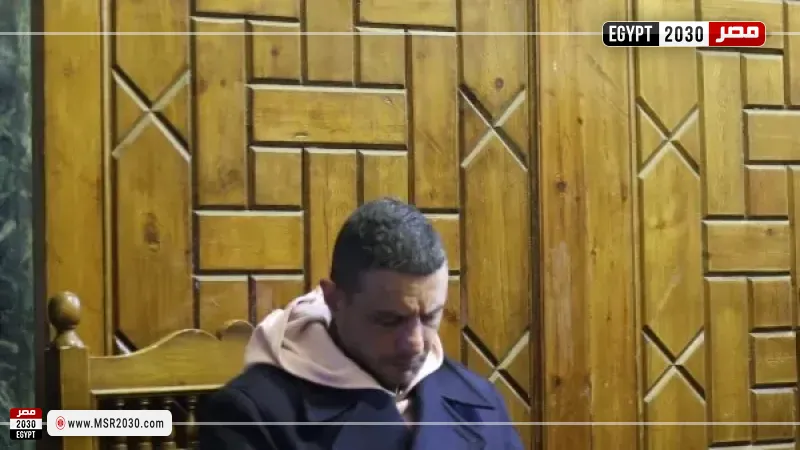 أحمد الفيشاوي 