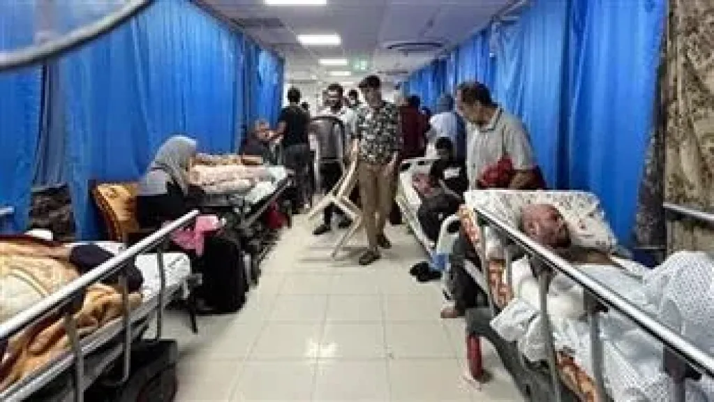 غزة 