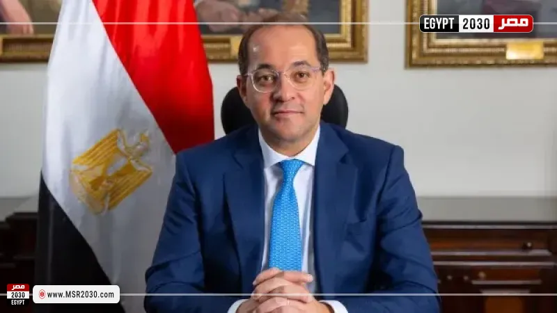  وزير المالية