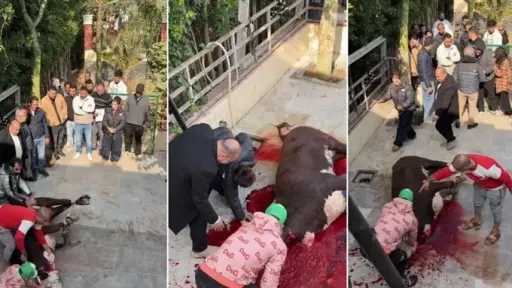 روجينا تحتفل ببداية تصوير مسلسلها الجديد “حد أقصى” لرمضان 2026