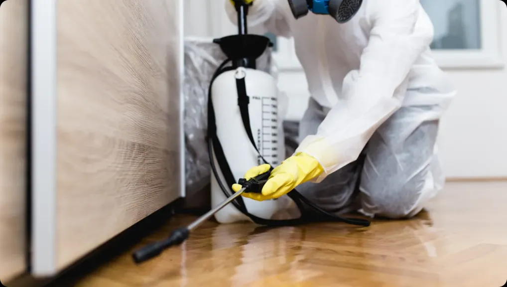 مصر 2030